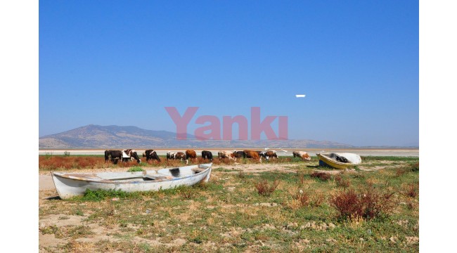 Marmara Gölü kurudu, zemininde derin yarıklar oluştu