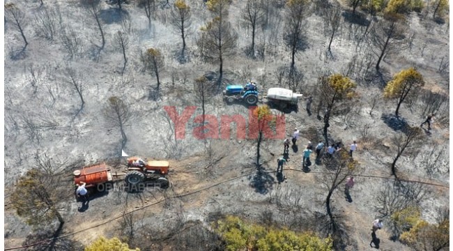 Saruhanlı'daki orman yangını vatandaşların desteğiyle söndürüldü