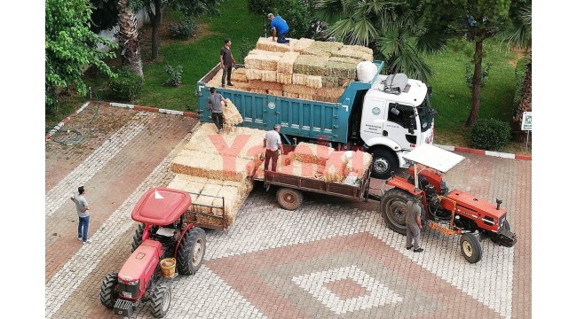 Yangın bölgesindeki çiftçilere Ahmetli’den 3 kamyon saman gönderildi