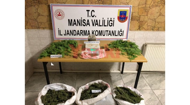Arazisinde uyuşturucu yetiştirdiği öne sürülen şüpheli gözaltına alındı
