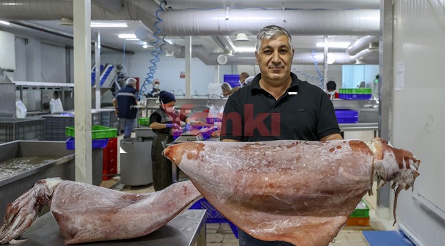 İzmir'de yakalandı, balıkçılar hayretler içinde kaldı