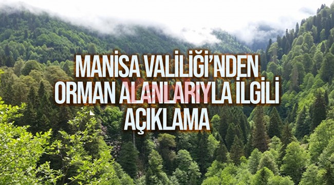 Manisa Valiliği'nden ormanlık alanlarla ilgili açıklama 