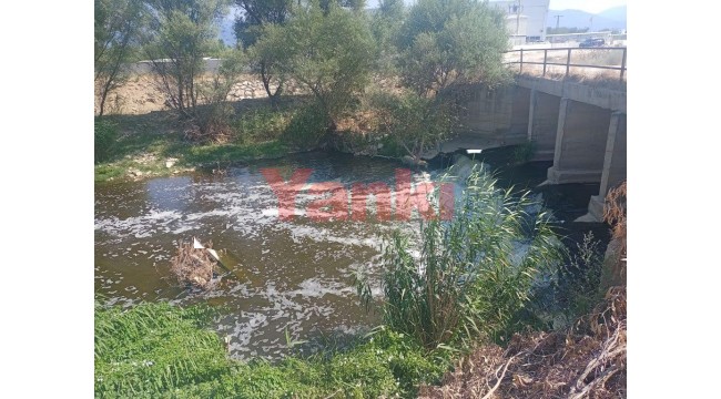 Maski'den 'Gediz Nehri' açıklaması: 'Sanayi atıksularının arıtımı ve denetimi yetkimiz dışındadır'