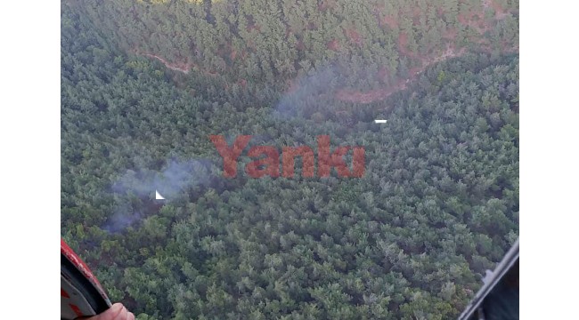 Soma'da yıldırım düştü; orman yangını çıktı 