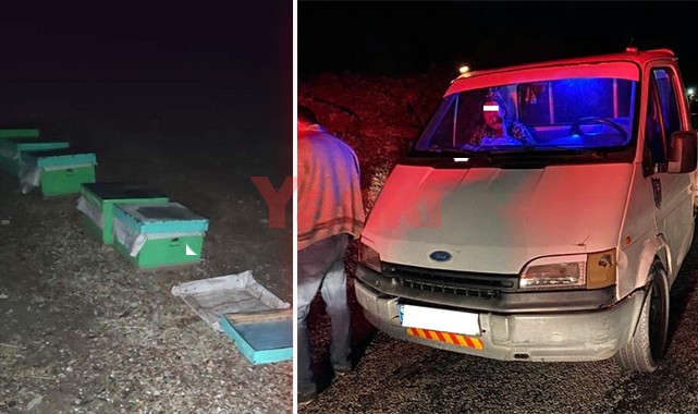 Arı kovanlarını çalan şüphelileri fotokapan yakalattı