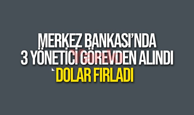Dolar karara sert tepki verdi