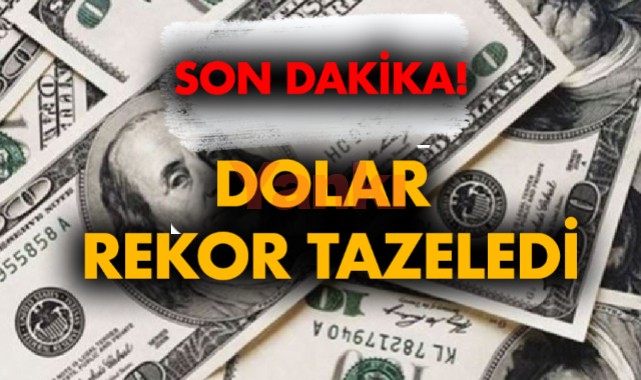 Dolar rekor tazeledi