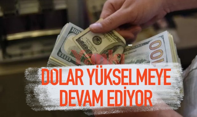 Dolar/TL, rekorlarına devam ediyor