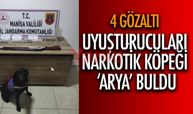 Evlerdeki uyuşturucuları narkotik köpeği 'Arya' buldu, 4 gözaltı