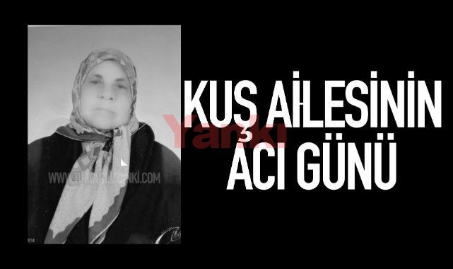Kuş Ailesinin Acı Günü