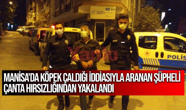 Manisa'da köpek çaldığı iddiasıyla aranan şüpheli, çanta hırsızlığından yakalandı