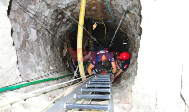 Su kuyusuna düşen 2 keçiden 1'i öldü 