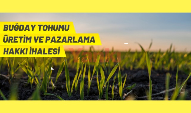 Tohumluk üretim ve pazarlama hakkı ihale ilanı