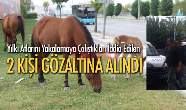 Yılkı atlarını yakalamaya çalıştığı iddia edilen iki kişi gözaltına alındı