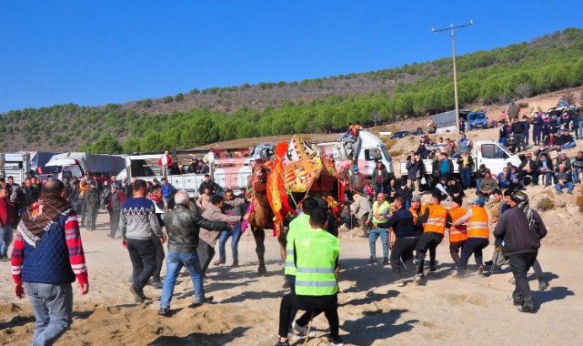 Develerin altında ezilmekten son anda kurtuldular