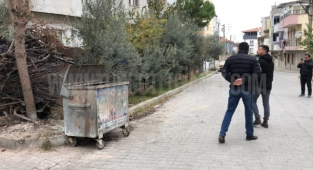 Kedi katilini yakalamak için özel ekip oluşturuldu