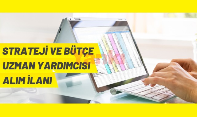 Strateji ve Bütçe Uzman Yardımcısı alım ilanı