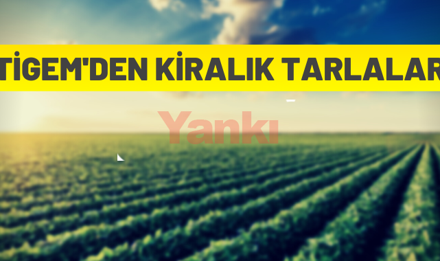 TİGEM'den kiralık tarlalar