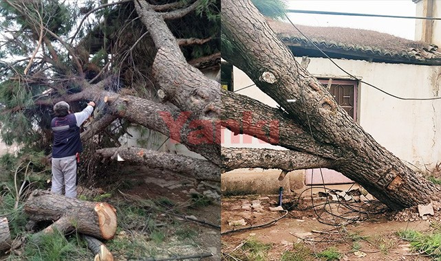 Turgutlu’da fırtına ağaçları devirdi 