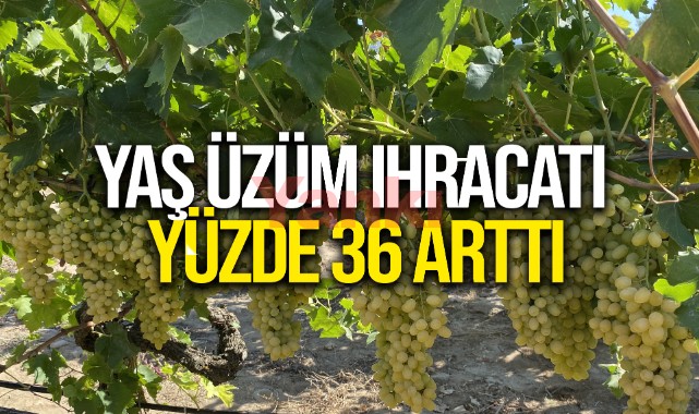Türkiye'nin yaş üzüm ihracatı yüzde 36 arttı