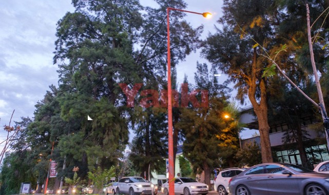 ADM ve GDZ elektrik kadına şiddete böyle dikkat çekti