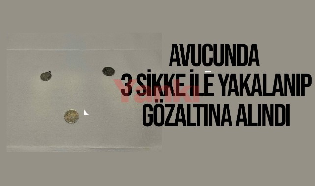 Avucunda 3 sikke ile yakalanıp, gözaltına alındı