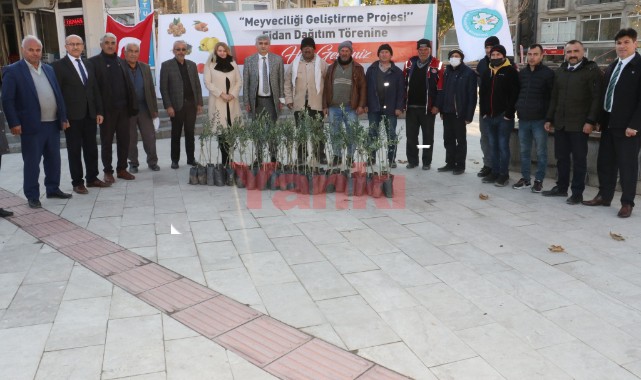 Büyükşehir'den üreticilere 100 bin fidan