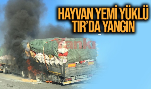 Hayvan yemi yüklü TIR'da yangın
