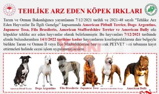 Turgutlu’da tehlikeli köpek ırklarına sahip olanlar dikkat! Son tarih 14 Ocak