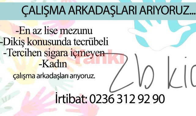 Çalışma Arkadaşları Aranıyor