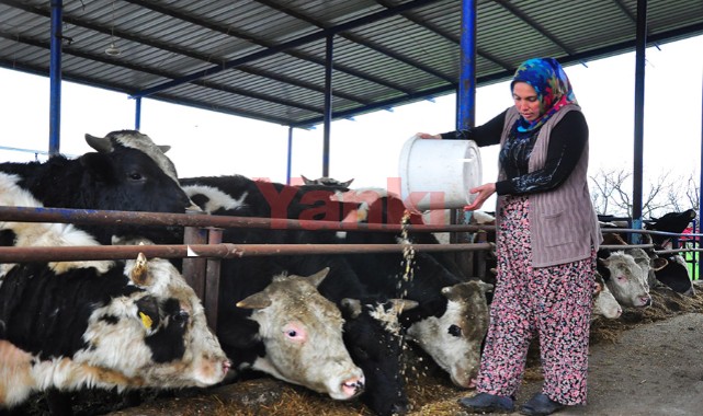 Çiftlik hayali devlet desteğiyle gerçeğe dönüştü, kendi işinin patronu oldu