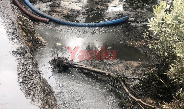 Zeytin bahçesine kimyasal gübre atığı bırakan şüpheliye suç üstü