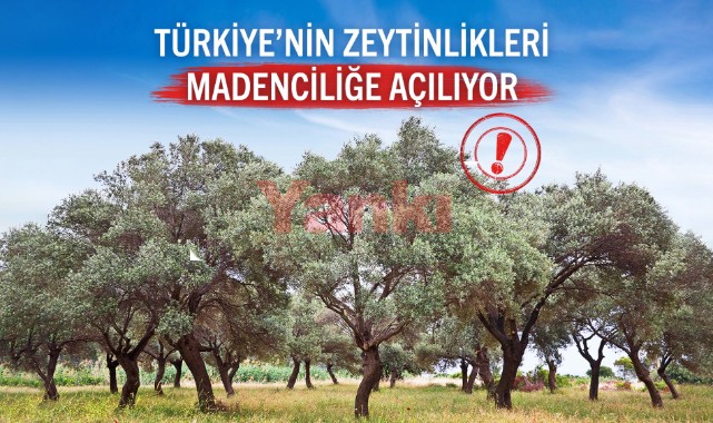Zeytinlikler madencilik faaliyetlerine açıldı, düzenlemeye tepki yağdı