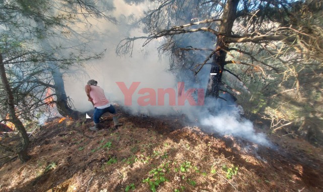 Alaşehir'deki orman yangını kontrol altına alındı