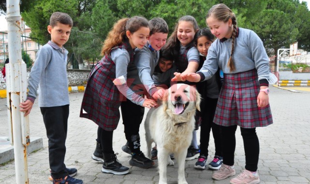 Elmas öğretmenin sahiplendiği 'Badem' okulun maskotu oldu