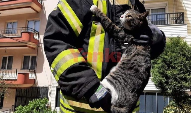 İtfaiyenin kurtardığı kedi, itfaiye erinin kucağından inmedi
