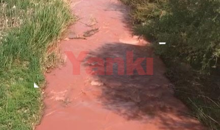 Nif Çayı kırmızı aktı; çiftçi tedirgin oldu