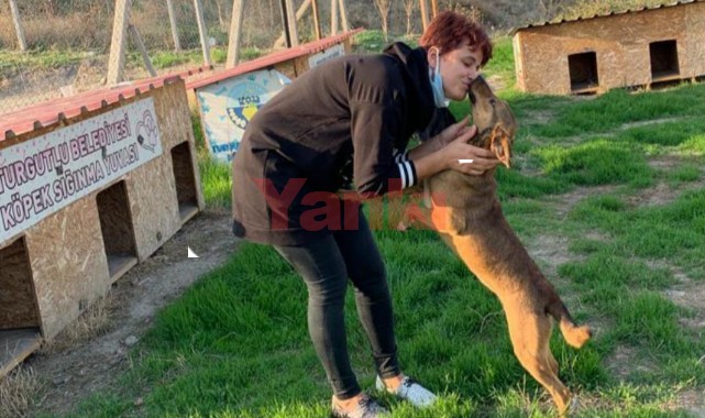 Sallıtepe'den Sokak Hayvanları Günü mesajı