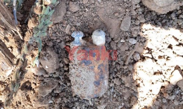 Ahmetli'de ormanda patlamamış el bombası bulundu