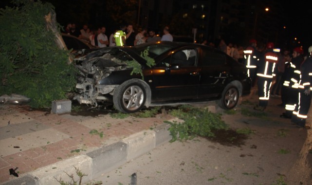 Kazada kaldırıma çıkan otomobil 5 ağacı devirdi