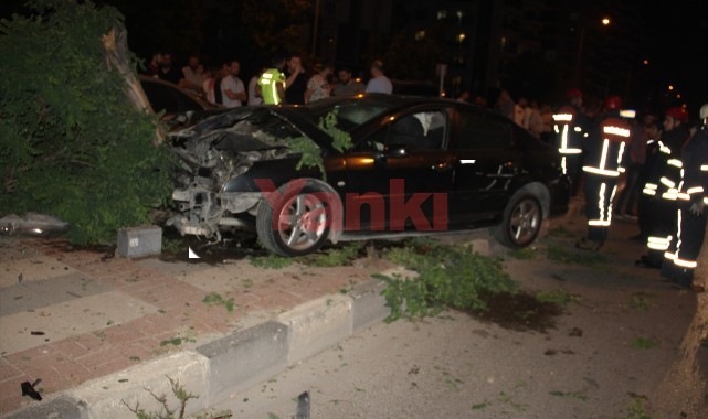 Kazada kaldırıma çıkan otomobil 5 ağacı devirdi