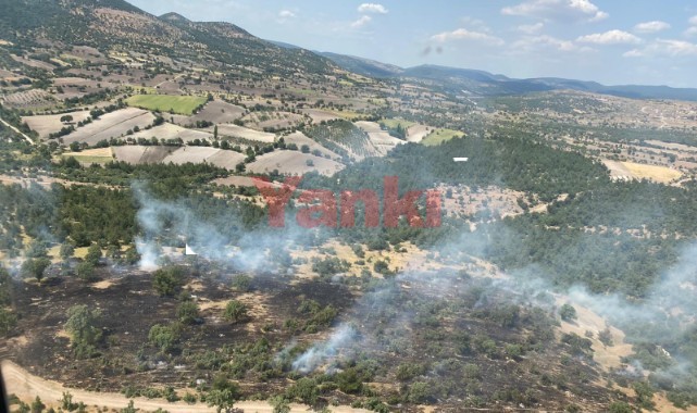 Manisa’da orman yangını söndürüldü