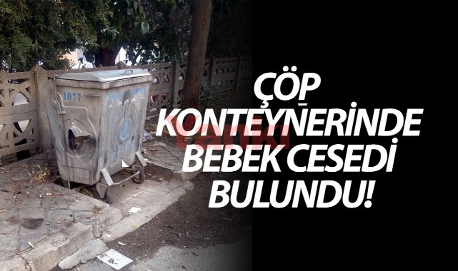 Çöp konteynerinde bebek cesedi bulundu!