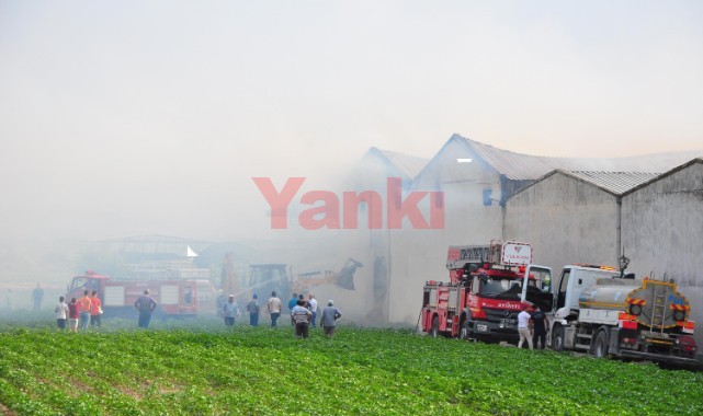 Entegre tesiste çıkan yangında 350 ton saman küle döndü