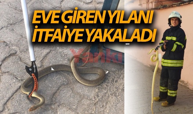 Eve giren 1.5 metrelik yılanı itfaiye ekipleri yakaladı