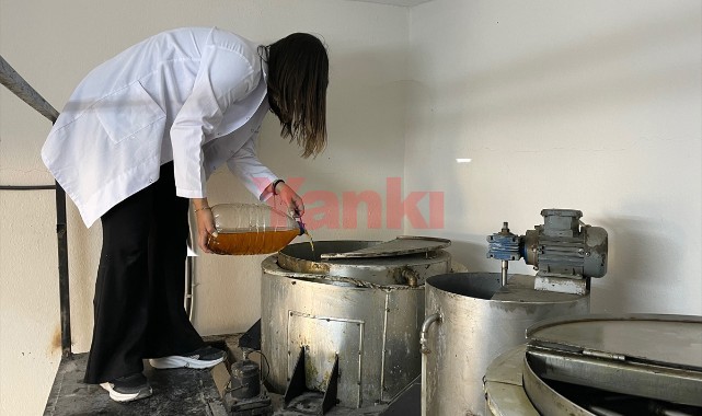 Okullardan toplanan atık yağlar, üniversitede biyodizele dönüşüyor