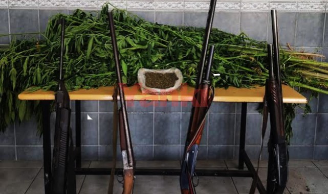 Arazide 23 kök kenevir, bağ evinde 222 gram esrar ele geçirildi