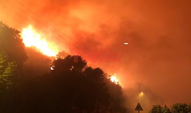 Çeşme Ildır’da Yangın