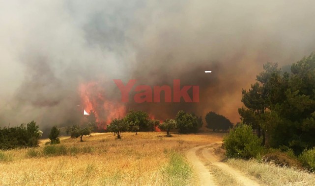Gördes'te orman yangını çıktı