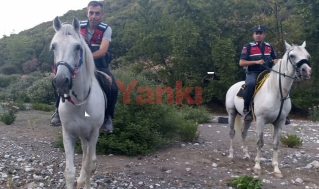 Jandarmanın atlı operasyonunda 60 kök hint keneviri ele geçirildi